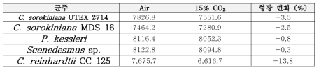 각 CO2 내성 후보 야생형 균주 형광 분석 (490/535 nm; a.u.)