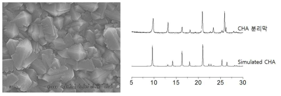 저렴한 비용으로 합성한 CHA 분리막의 SEM 이미지(왼쪽)과 해당 분리막의 XRD 패턴(오른쪽)