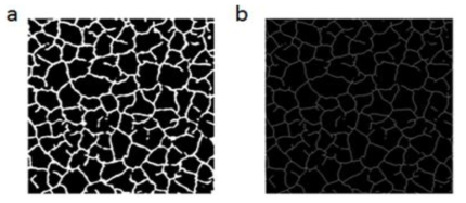 공극도 계산을 위한 분리막 결함 구조의 영상 처리. (a) 영상처리 후의 결함 구조 이미지와 (b) morphological thinning을 통해 광학에서 발생하는 오차를 줄인 이미지