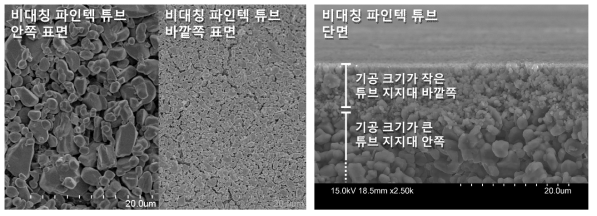 (주)파인텍에서 구입한 비대칭 구조를 가진 고투과도 튜브형 지지대의 안쪽과 바깥쪽 표면 이미지(왼쪽)와 단면 이미지(오른쪽)