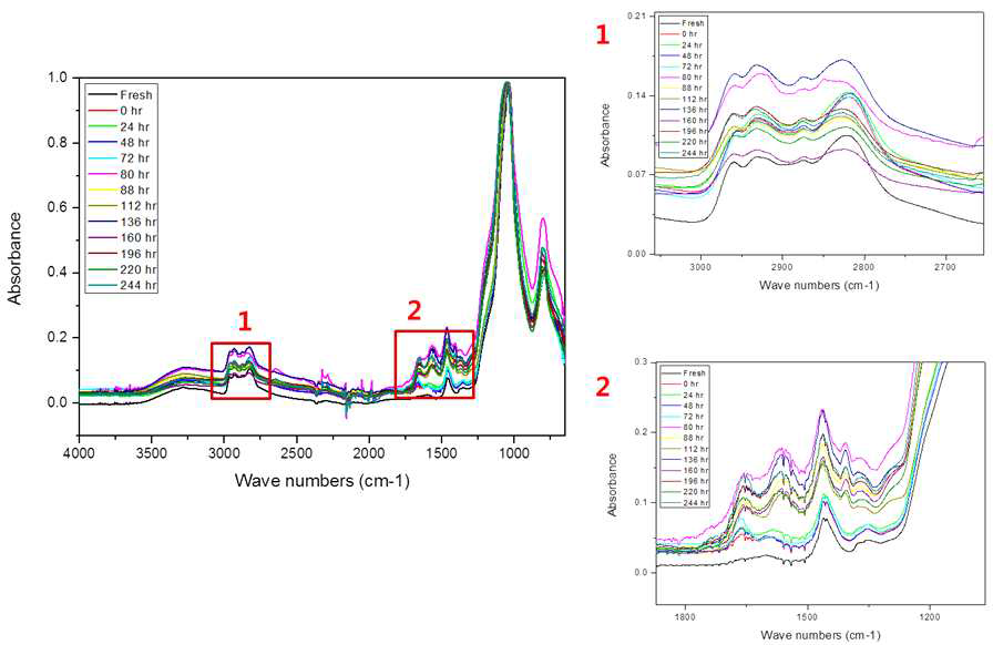 운전시간에 따른 흡수제의 FT-IR 스펙트럼