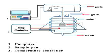 이산화탄소 흡착용 열중량반응기(TGA) 개략도
