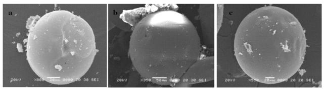 (a)400℃, (b)500℃, (c)600℃에서 합성된 탄소의 SEM 이미지