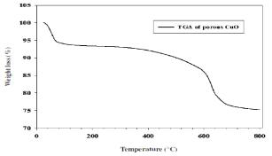 합성된 다공성 CuO의 TGA 곡선