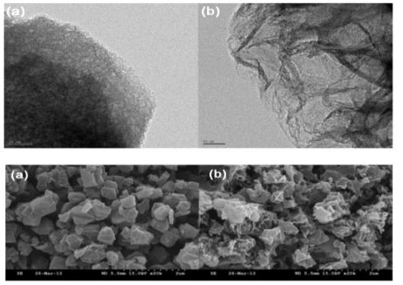 SEM and TEM image of (a) Zeolite-derived carbon 및 (b) Activated zeolite-derived carbon (800℃)