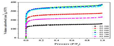 N2/77 K full isotherms of N-enriched porous cabons