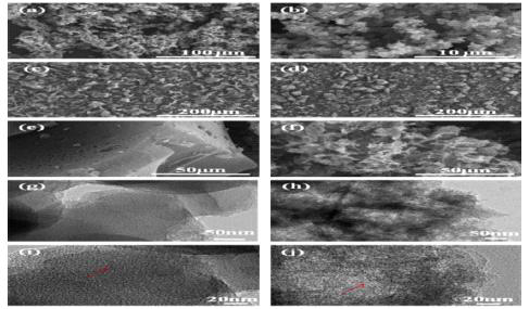 SEM (a-f) and TEM (g-j) images of PPY (a-b), PN-2-800 (c, e, g, and i), and PN-4-800 (d, f, h, and j)