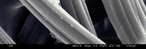 SEM image of ACFK-0 sample