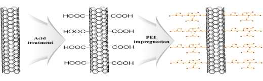 Schematic representation of mechanism for the MWCNT/PEI