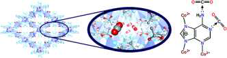 Coblat-adeninate MOF (bio-MOF-11)의 구조와 adeninate와 이산화탄소의 상호작용