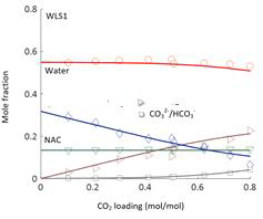 NMR speciation for MAB-N