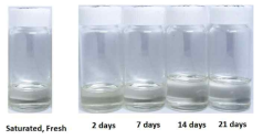 Photographs of samples after thermal treatment of MAB-E at 120 oC in 1 inch OD tube reactors. All the samples contain mixed inhibitors of 0.1% Z1 and 0.2% AB