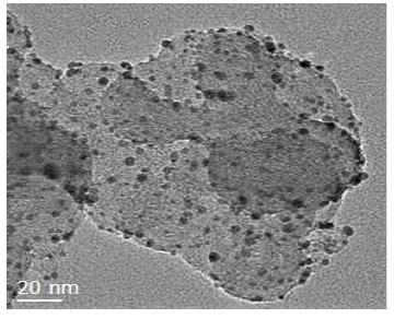 카본 담지된 Au 나노입자-유기분자 촉매의 투과전자현미경 이미지