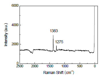 CO2 분자의 Au 표면 흡착에 따른 Raman 분석 결과 (w/o applying potential)