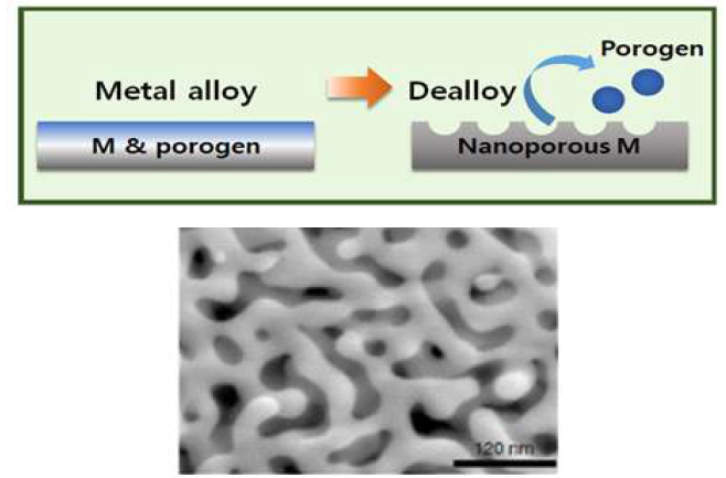전기화학적 탈합금 기법 모식도와 제작된 나노다 공성 구조 SEM image
