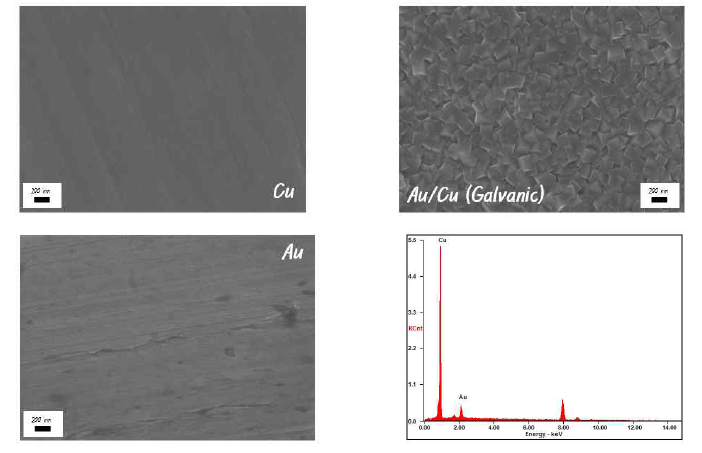 SEM/EDAX를 활용한 Au/Cu의 morphology 및 성분 분석