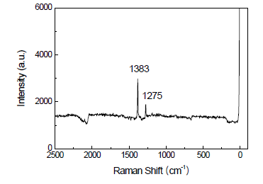 CO2 분자의 Au 표면 흡착에 따른 Raman 분석 결과 (w/o applying potential)