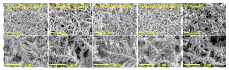 Ag-In 촉매와 Ag only 촉매의 표면 구조 FESEM 분석 이미지