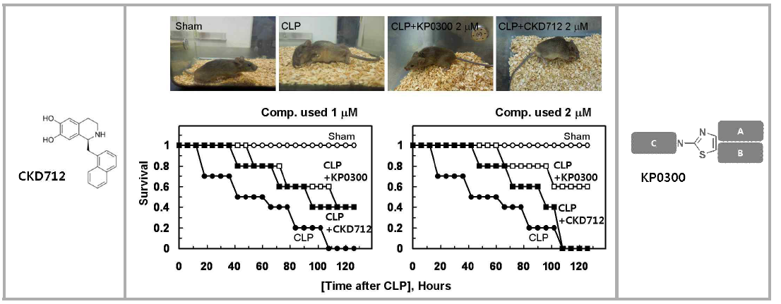 CKD712와 K300(=KP0300)이 in vivo에서 생존율 연장에 미치는 영향 비교 (1 μM (좌), 2 μM (우))