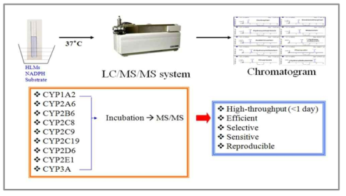 종의 CYP 활성을 동시에 측정할 수 있는 고속 약물상호작용 평가 시스템