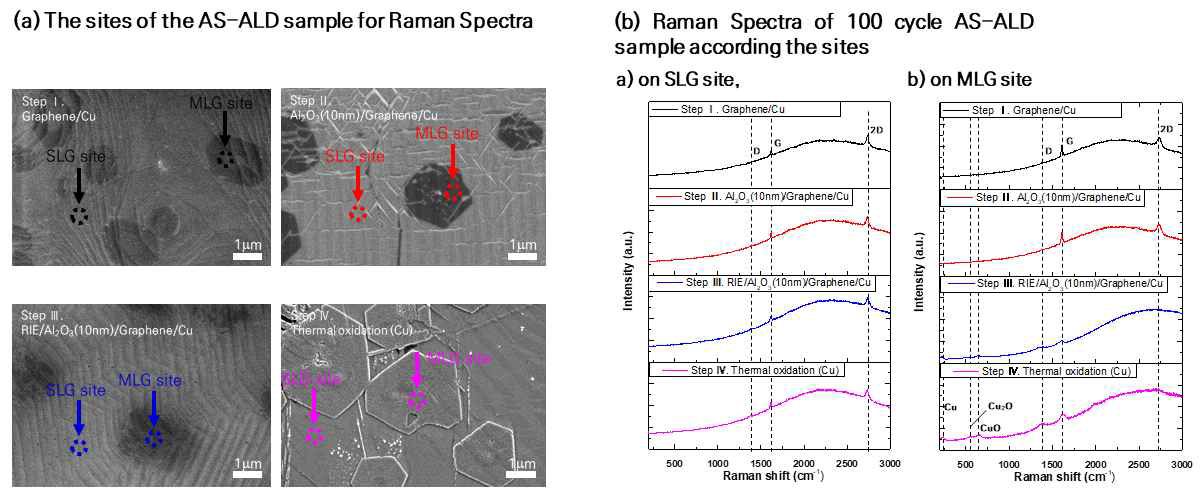 가시화 step별 SEM 및 RAMAN spectra 분석