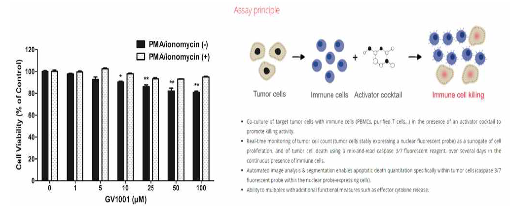 PMA-stimulated Jurkat cells의 항암효과에 미치는 영향