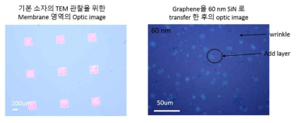 그래핀을 기본 소자로 전사한 후에 optical microscopy를 이용한 그래핀 분석