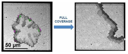 partial coverage 그래핀과 full coverage 그래핀의 TEM dark field image