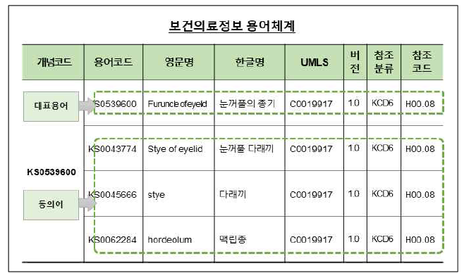 보건의료정보 용어체계