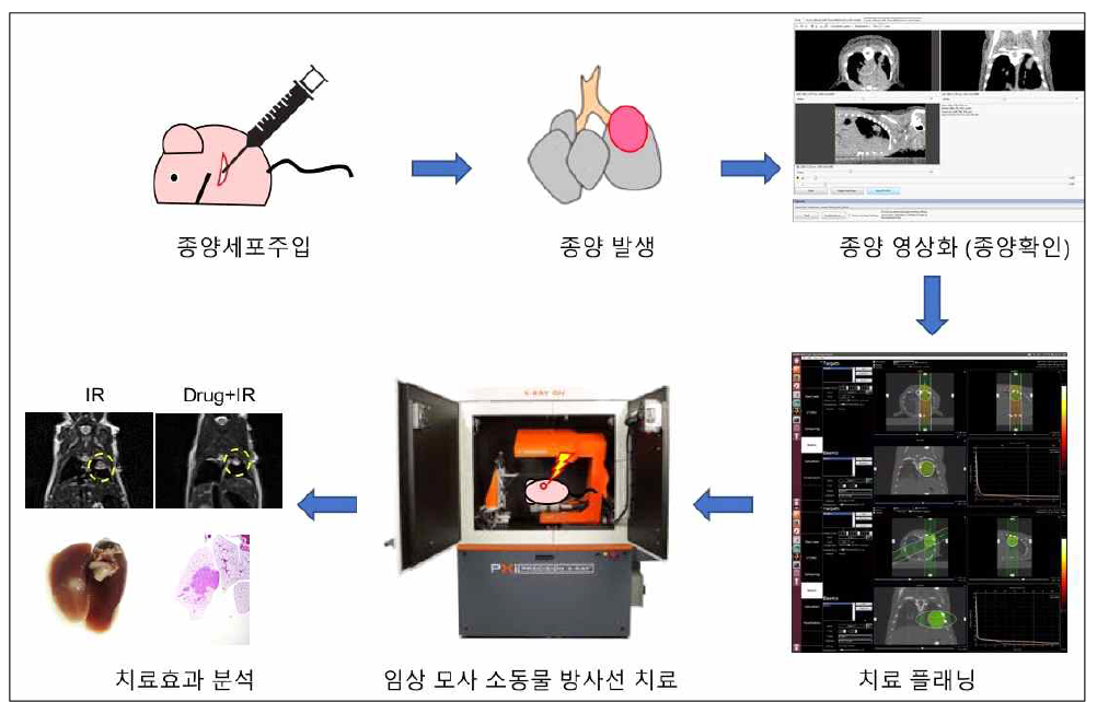 임상 모사 소동물 방사선 치료 환경 구축과 치료 효과 분석을 위한 프로세스 모식도