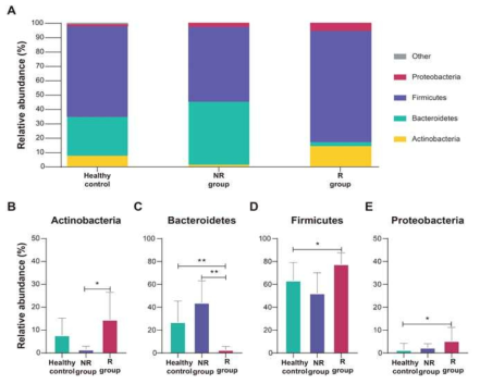 정상군과 NR 및 R 그룹 간의 FMT 전 phylum level에서의 장내 미생물 군집 구성 비교. (A) 세 그룹의 phylum level에서의 상대 존재비 (B) Actinobacteria, (C) Bacteroidetes, (D) Firmicutes, (E) Proteobacteria의 상대 존재비율. ** adjusted p<0.01, *** adjusted p<0.001, one-way ANOVA에 의한 통계 분석 진행