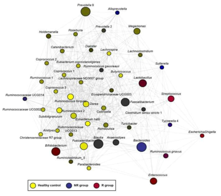 공동발생 네트워크 분석을 이용한 정상군(healthy control)과 NR 및 R 그룹의 FMT 전 핵심종 미생물 발굴. Healthy control(노랑), NR(파랑), R(빨강). Genera는 그룹과의 연관성에 따라 색상이 지정된 원으로 표시함