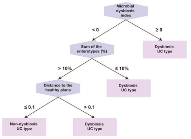 FMT 시술 전 dysbiosis상태에 따른 UC환자 유형 분석 판별 순서도