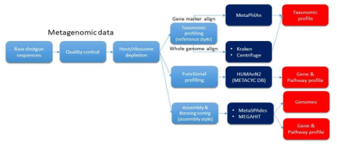 Shotgun metagenome analysis pipeline