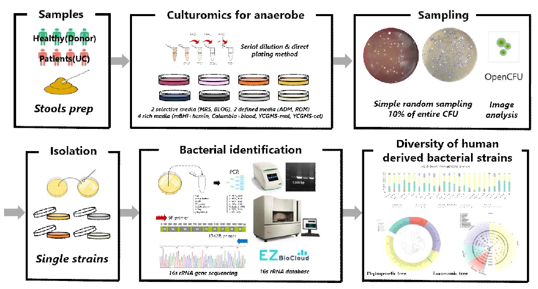 컬쳐로믹스 기반 핵심 미생물 분리 모식도