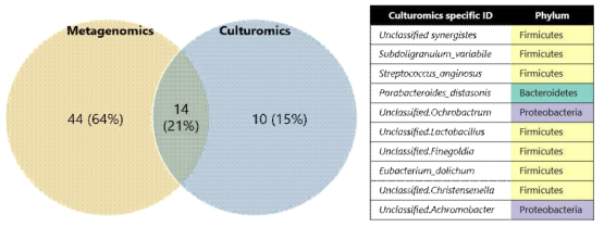 메타지노믹스 및 컬쳐로믹스 기반 bacterial community 분석
