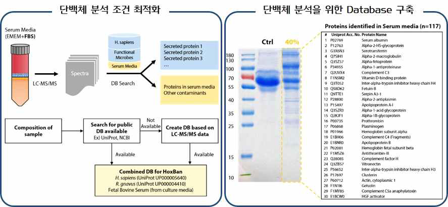 멀티오믹스 분석 최적화 조건 확립 및 분석 데이터 확보