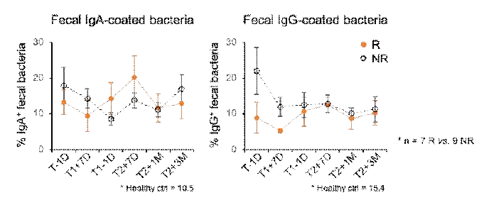 FMT 시간 경과에 따른 분변 미생물 결합 항체 분석 (R: FMT 반응군, NR: FMT 비반응군)
