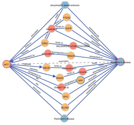 AKT1과 단백질 타겟들과의 연결성 분석을 통한 알츠하이머와의 연관성