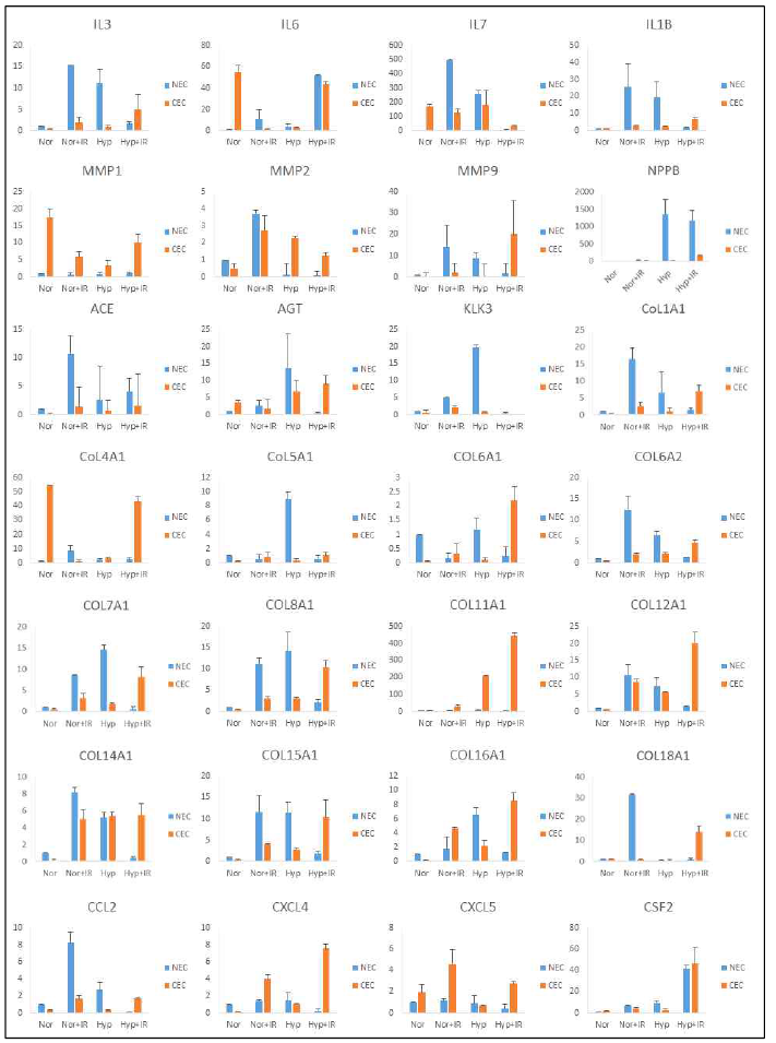 Radiation-induced ECMs in normal and cancer endothelial cells under normoxia and hypoxia-1