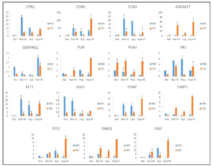 Radiation-induced ECMs in normal and cancer endothelial cells under normoxia and hypoxia-2