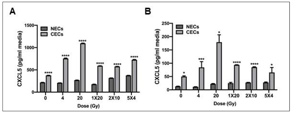 Effect of fractionated irradiation on radiation-induced secretion of CXCL5 in cancer endothelial cells isolated from colrectal cancer tissues (A) and head & neck cancer tissues (B)