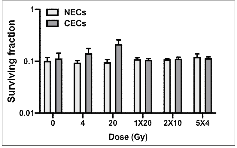 Radiosensitivity of colorectal cancer cells treated with the conditioned media of irradiated normal and cancer endothelial cells isolated normal and cancer tissues