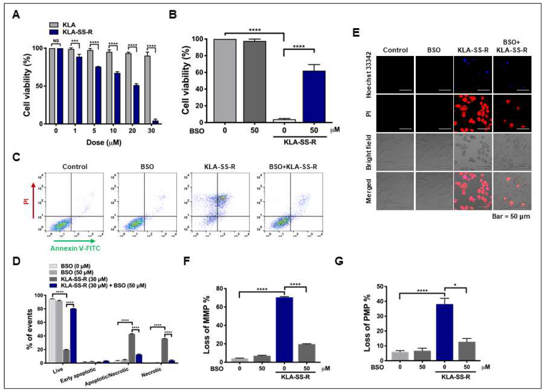 Anticancer effect of KLA-SS-R in cancer cells