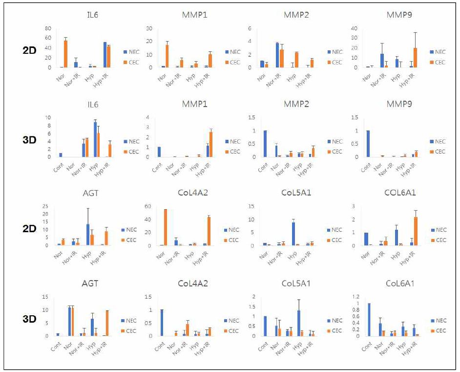 Radiation-induced ECMs of cancer endothelial cells cultured in 2D and 3D culture system under normoxia and hypoxia-1