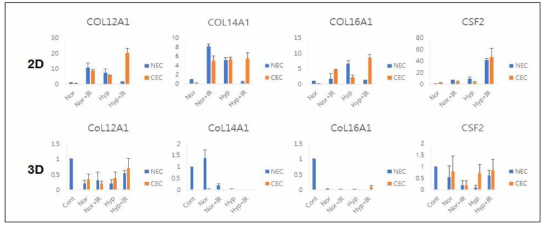 Radiation-induced ECMs of cancer endothelial cells cultured in 2D and 3D culture system under normoxia and hypoxia-2