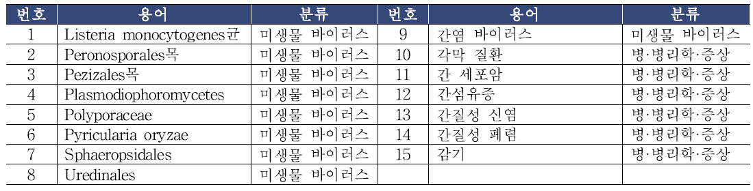 분류별 선정된 시소러스 용어 예시