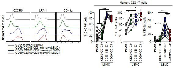 유세포 분석기를 통해 분석한 CD8+ T 세포군에서 CXCR6+, LFA-1+, CD49a+ 세포의 분율 및 대표 히스토그람