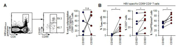 HBV에 만성으로 감염된 이식 수혜자에서 간내 관류액을 수득하여 HLA-A*0201 pentamer 에 HBVcore18-27 펩타이드를 탑재하여 HBV 특이적인 CD8+ T 세포를 잡아내었음. (A) HBV 특이적인 CD69+CD8+ T 세포 내에서 CD103-군은 CD103+군을 분석 (B) HBV 특이적인 CD69+CD8+ T 세포 내 CD103-군은 CD103+군의 TEMRA 세포, CD57+ 세포, T-betlowEomeshi 세포 비교