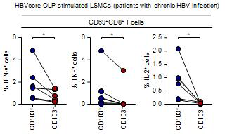 만성 HBV 감염에 있는 환자의 간내 관류액에서 수득한 LSMC에서 HBV core overlapping peptide로 6시간을 자극한 뒤 ICS를 시행하여 IFN-γ, TNF, IL-2 양성인 세포를 각 군마다 측정